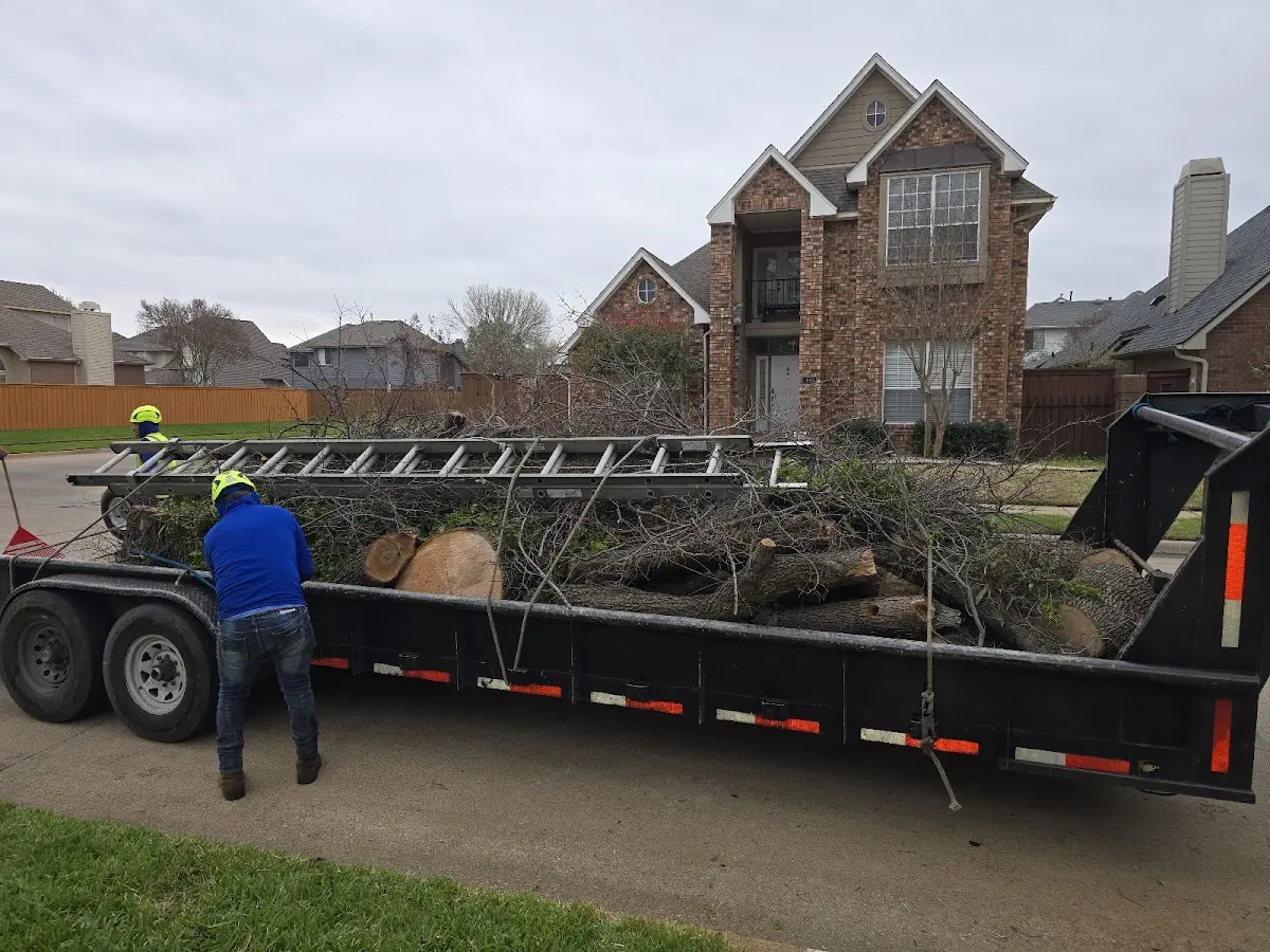 Expert Tree Fertilization with proper safety equipment in Northfield